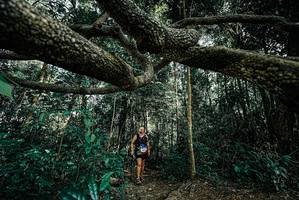 BIB: 
                            <button type="button" onclick="openModal(25706188)" class="btn btn-primary btn-sm float-right btn-popup" data-toggle="modal" data-target=".modal-high-quality">
                        <i class="fas fa-shopping-cart"></i> Add to Cart
                    </button>
                                            <button type="button" onclick="isThisMe(25706188, true)" class="btn btn-success btn-sm float-right btn-popup btn-isme hidden" data-toggle="tooltip" data-placement="bottom" title="นี่คือรูปของคุณใช่ไหม คลิกที่นี่เพื่อเอาเข้าอัลบั้ม">
                        <i class="fas fa-plus"></i> Add to album
                    </button>
                    <button type="button" onclick="isThisMe(25706188, false)" class="btn btn-warning btn-sm float-right btn-popup btn-isnotme hidden">
                        <i class="fas fa-ban"></i> Remove from album
                    </button>